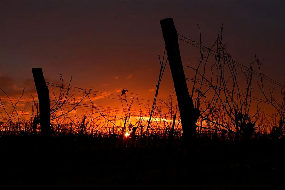 Sonnenaufgang