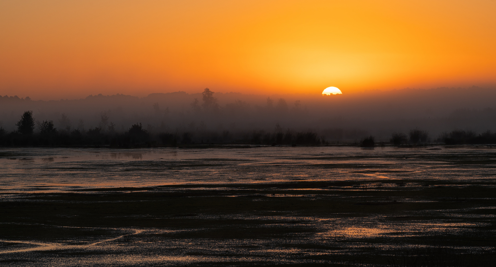 ____Sonnenaufgang____________