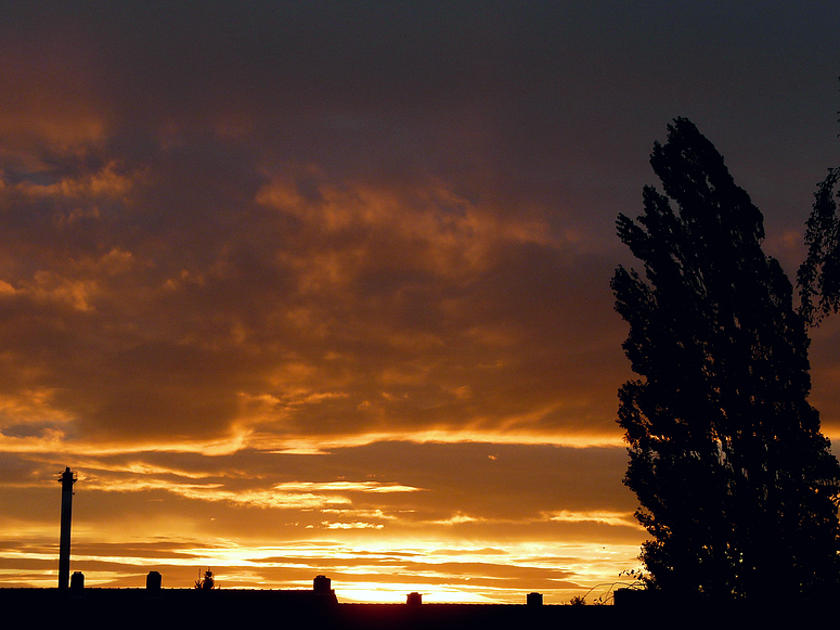 Sonnenaufgang 06.10.2010 - 07:43 Uhr