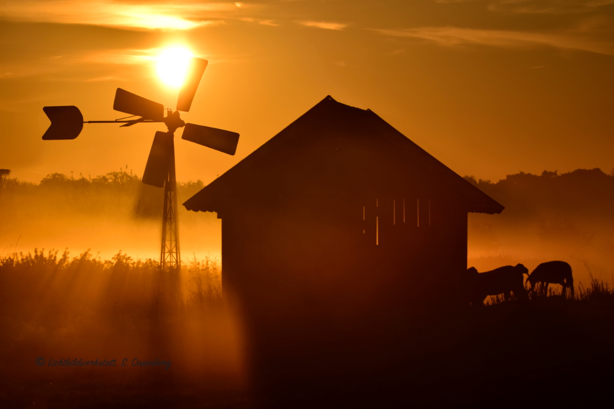 Sonnenaufgang 