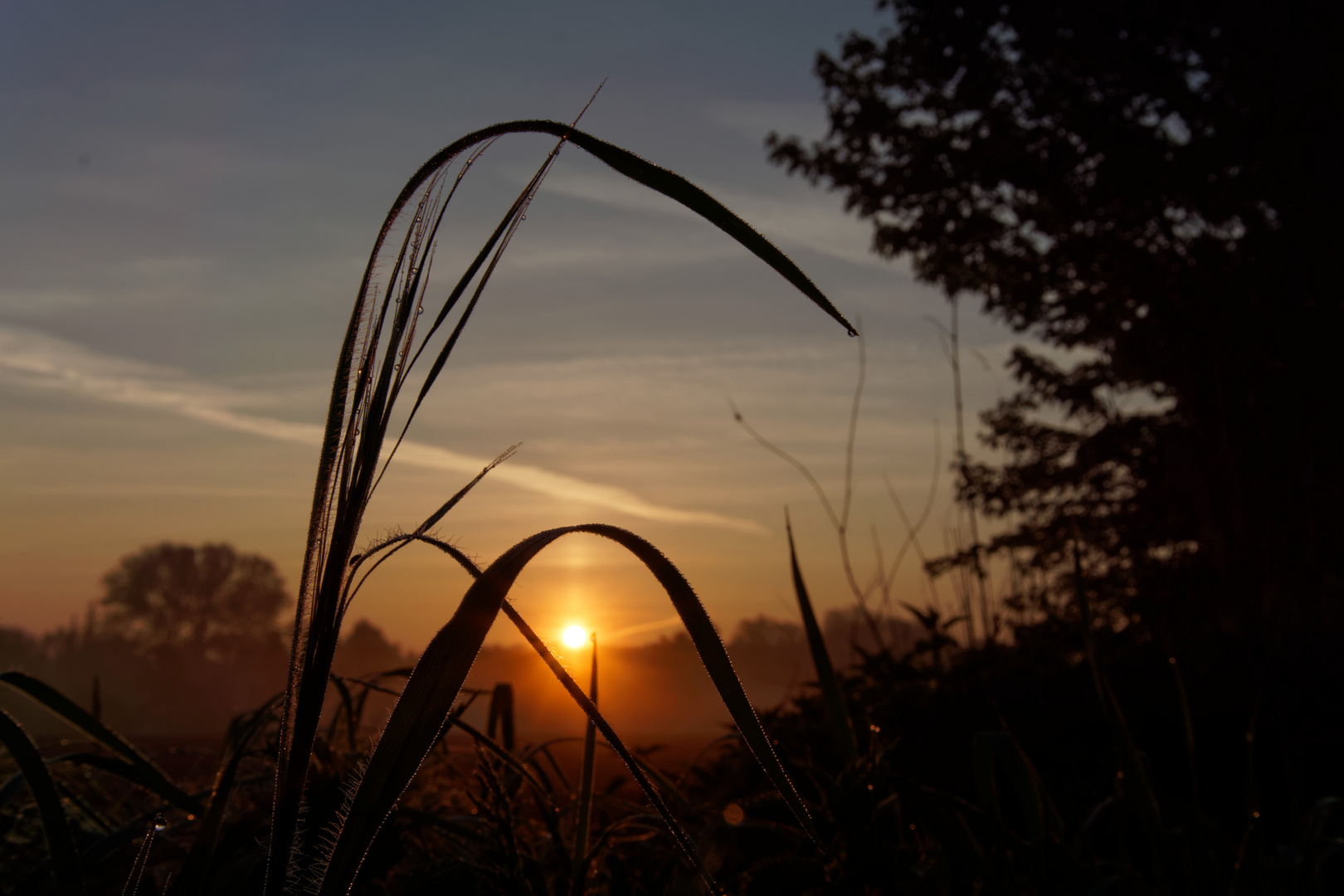 Sonnenaufgang