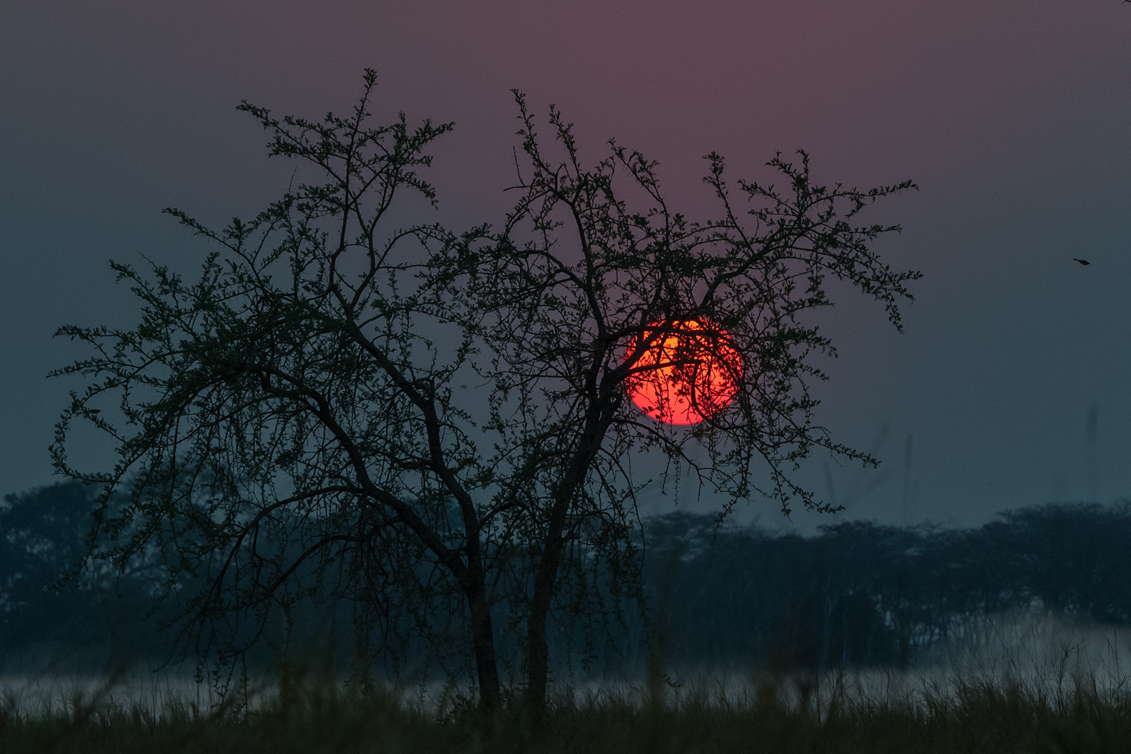 Sonnenaufgang