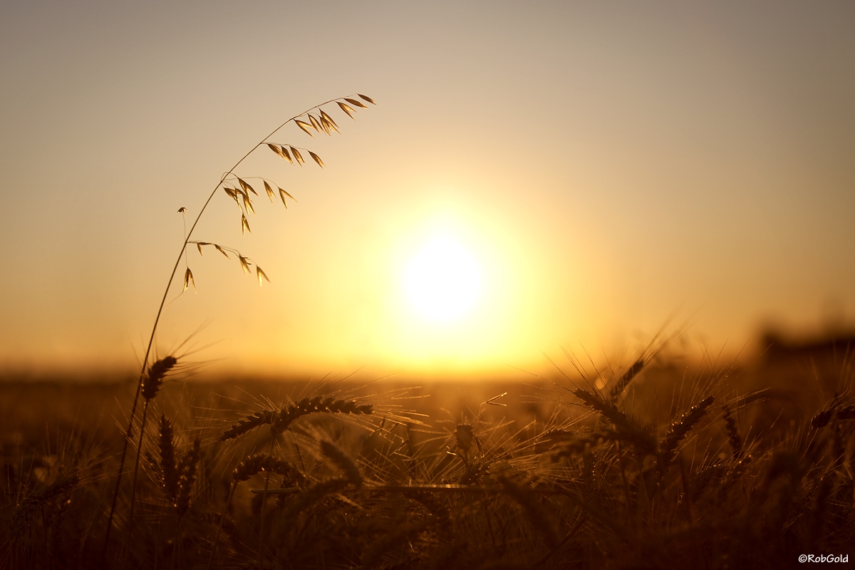 Sonnenaufgang