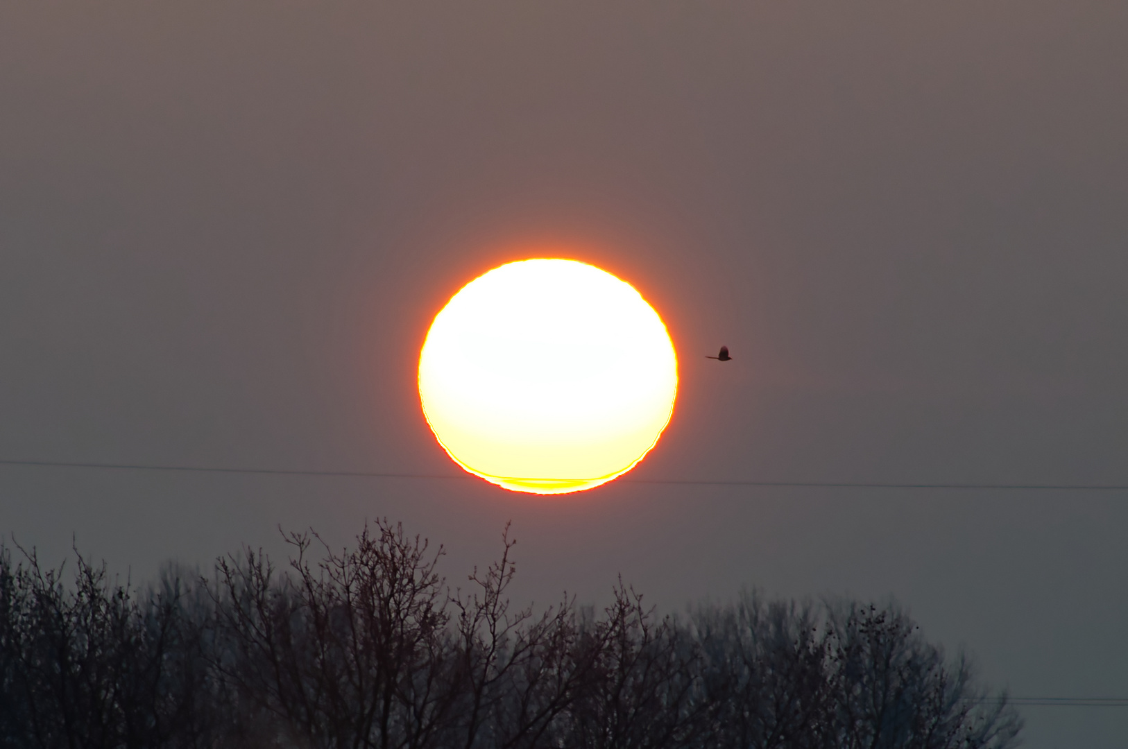 sonnenaufgang