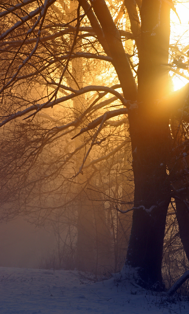 Sonnenaufgang