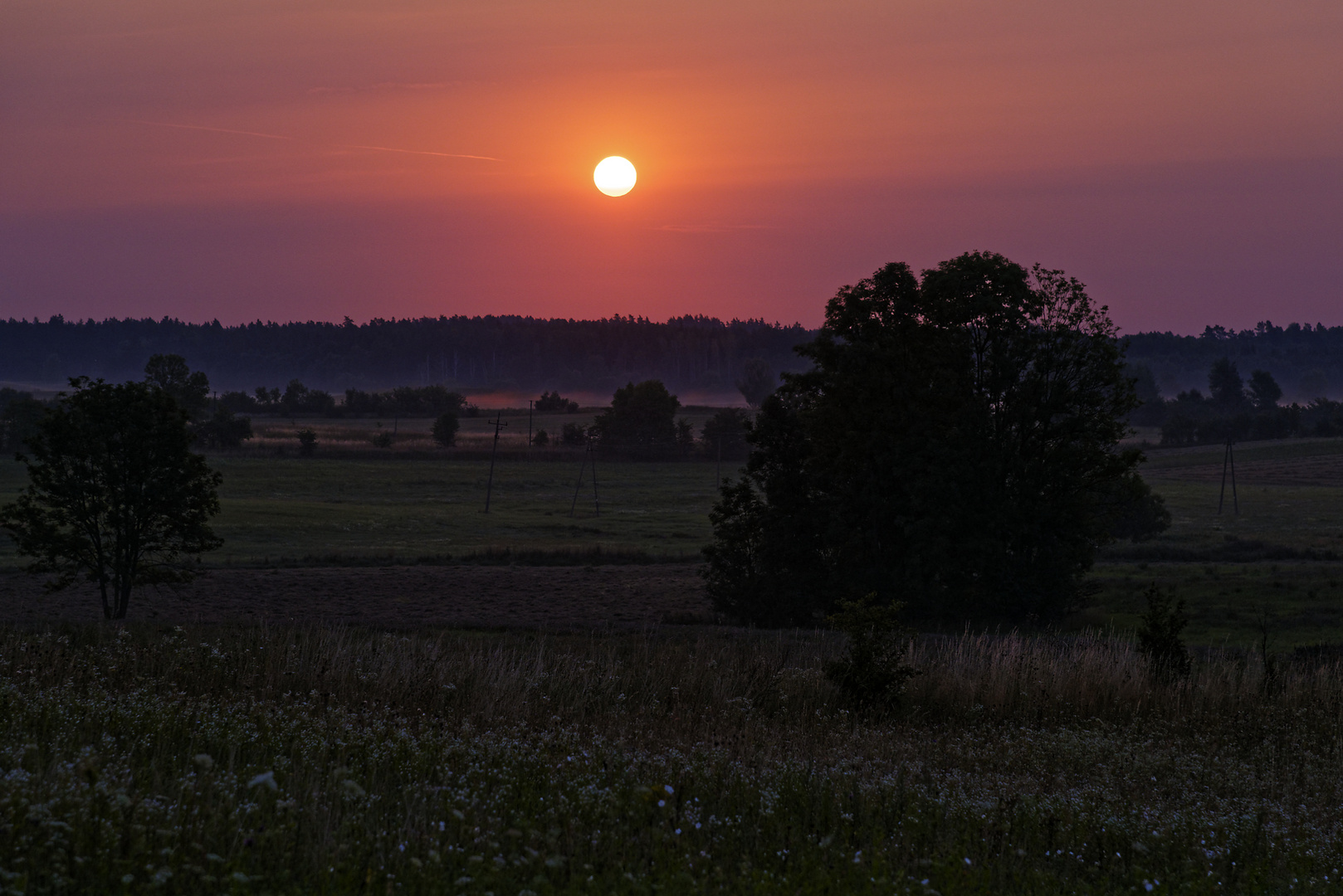 Sonnenaufgang (1)