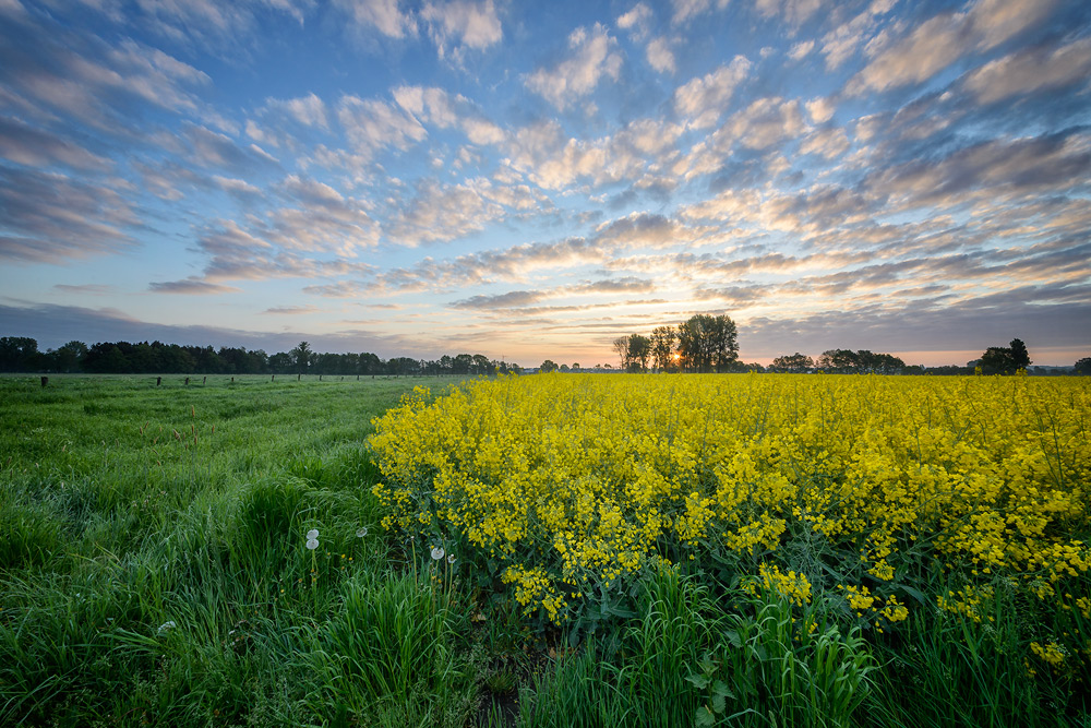 Sonnenaufgang (1)