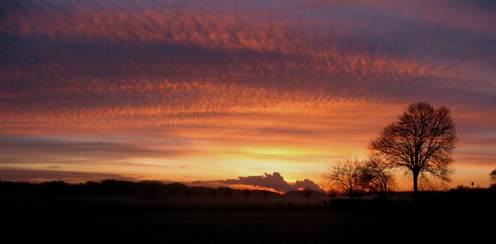 Sonnenaufgang 1