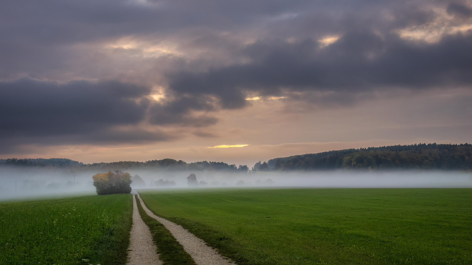 Sonnenaufgang 1