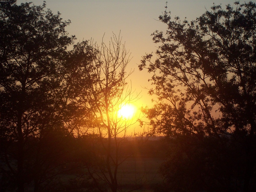 Sonnenaufgang 1 Mai