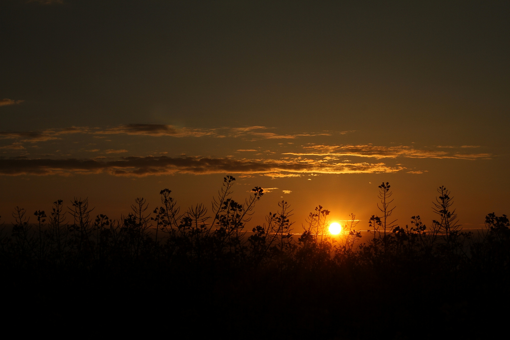 Sonnenaufgang