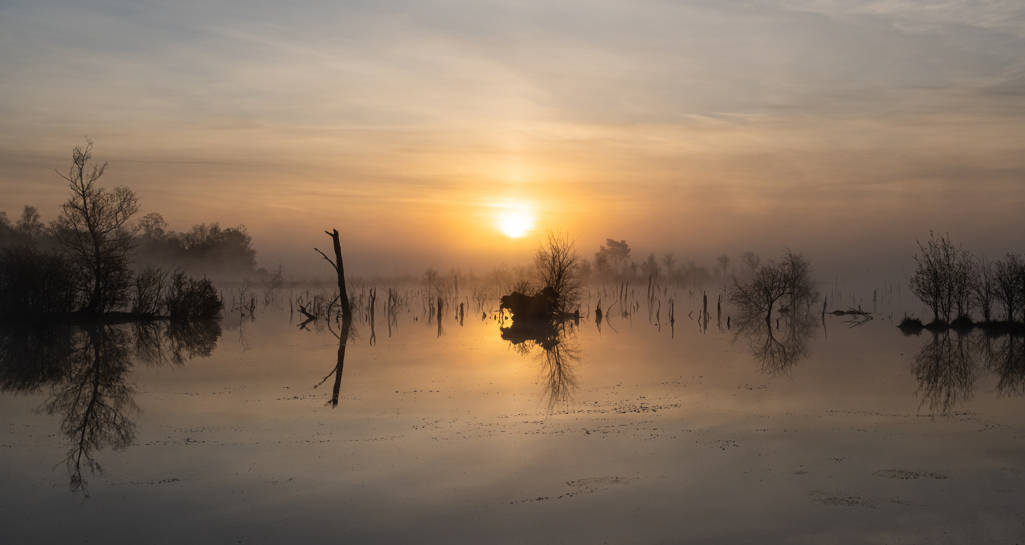 _____Sonnenaufgang_______