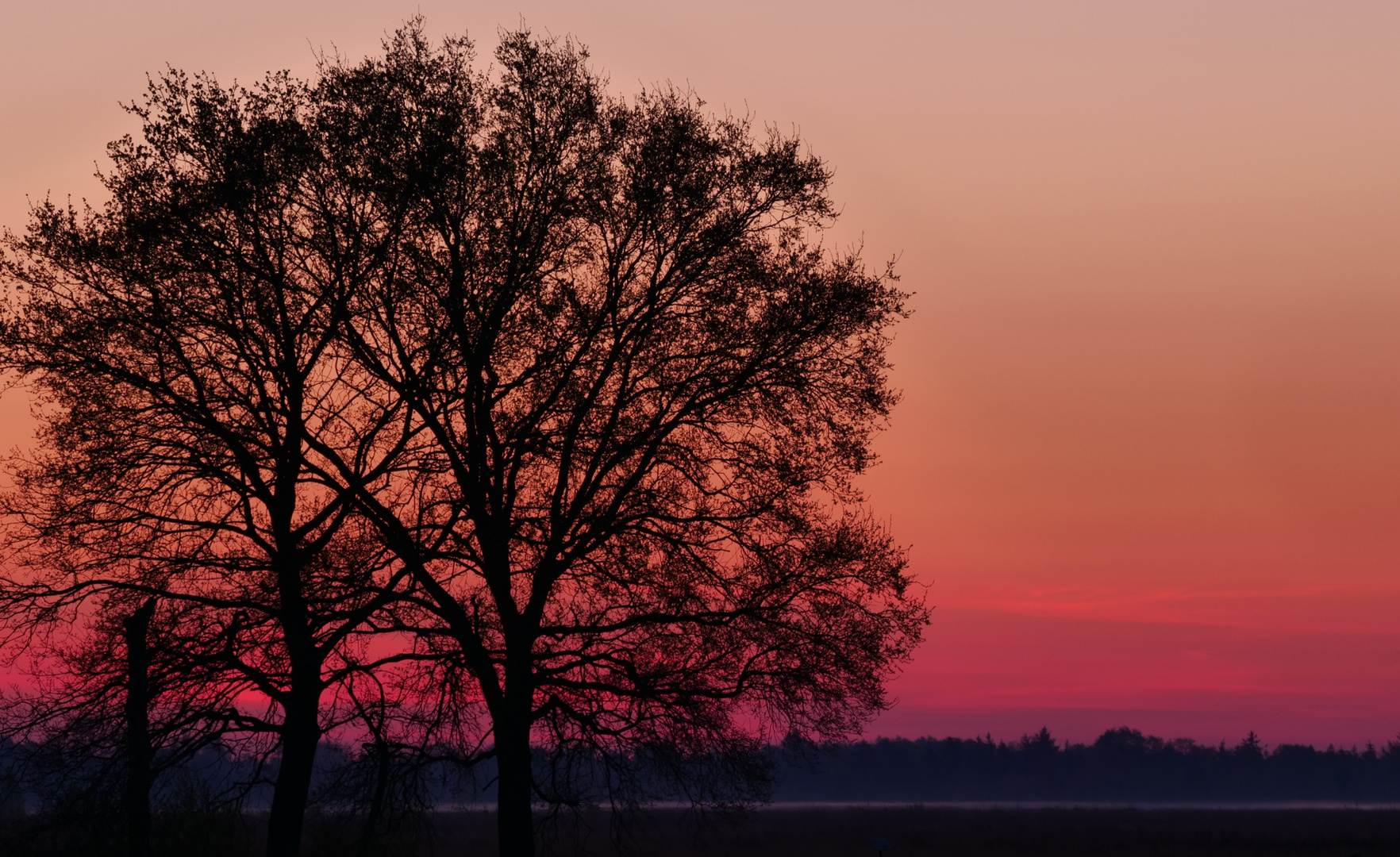 Sonnenaufgang 