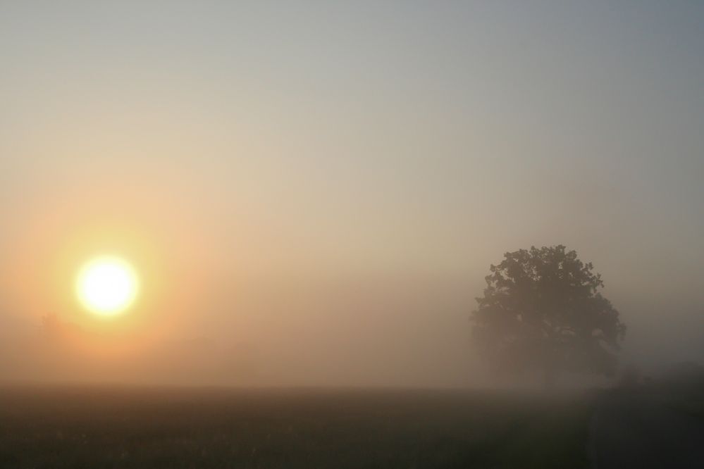 Sonnenaufgang von Rainer Schönfelder 