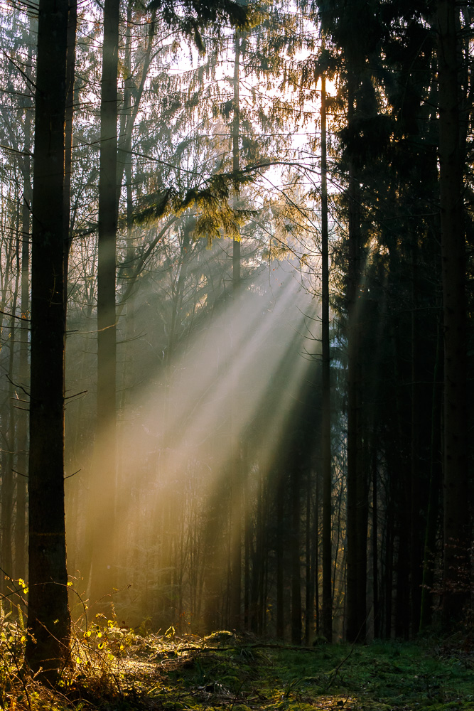 Sonnenaufgang