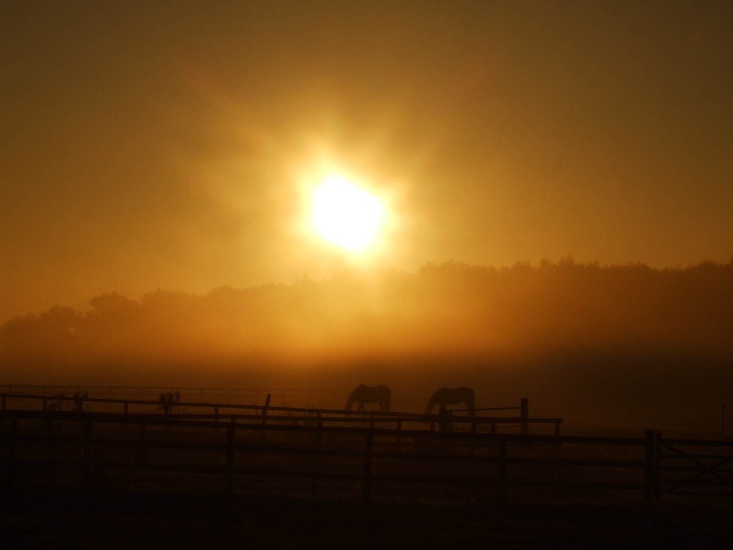 Sonnenaufgang