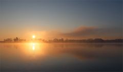 Naturfotos D 2025