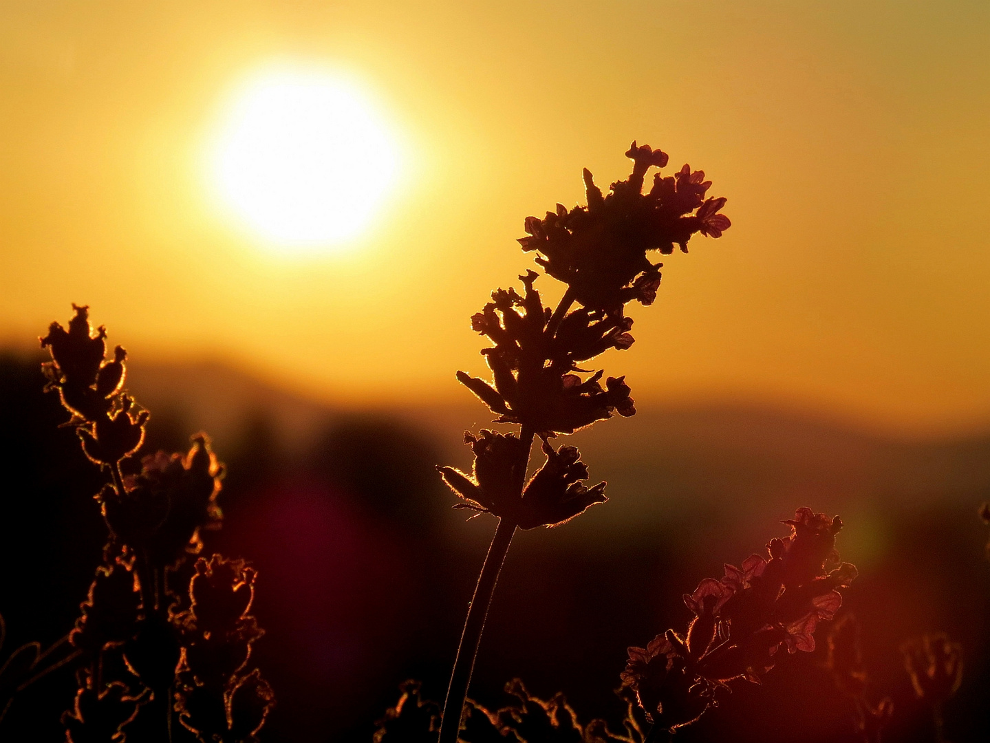 Sonnenaufgang 16.08.2013