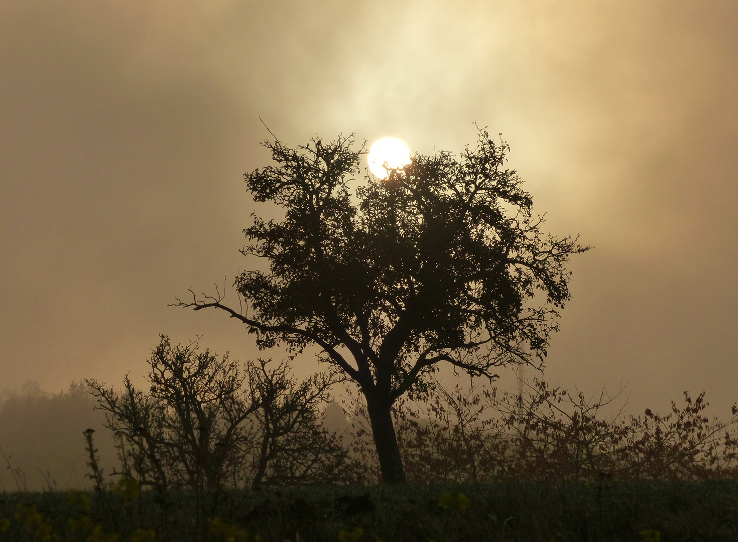 Sonnenaufgang 16.11.2018