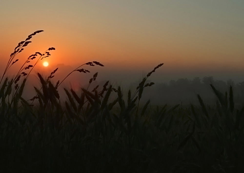 Sonnenaufgang...