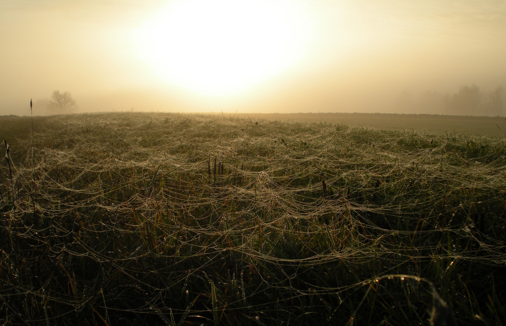 Sonnenaufgang 