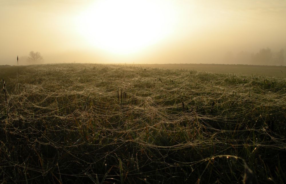 Sonnenaufgang 