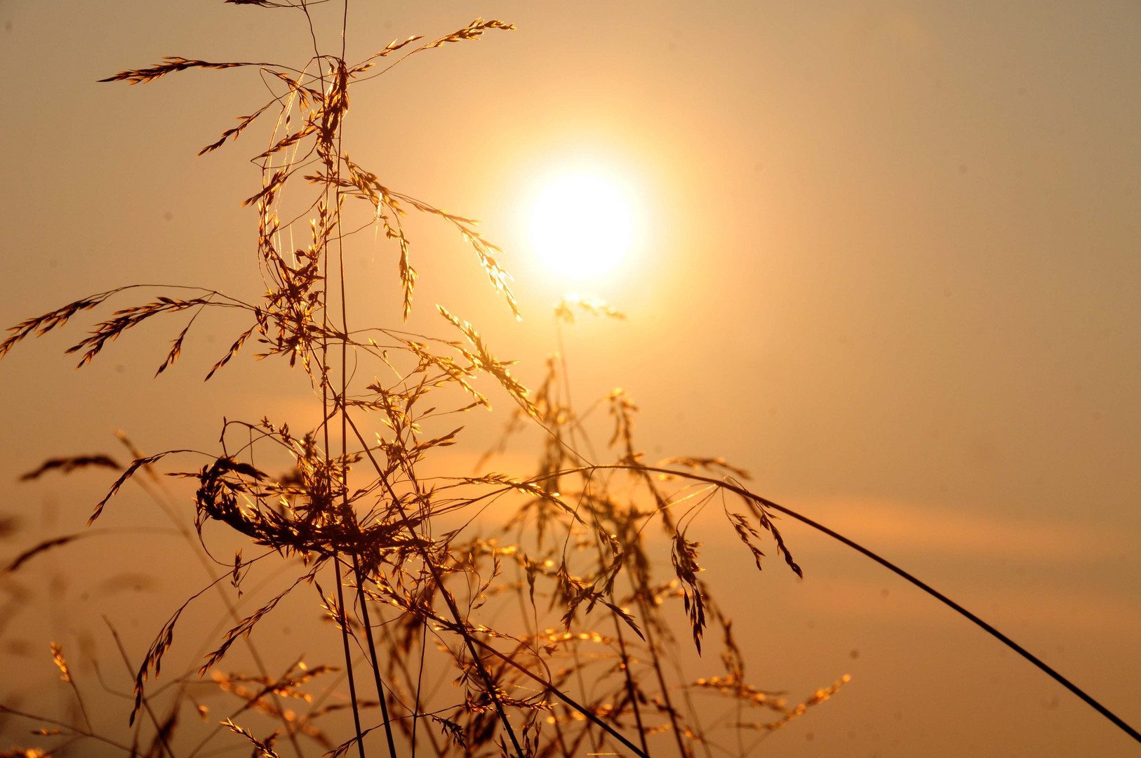 Sonnenaufgang 19.08.2013