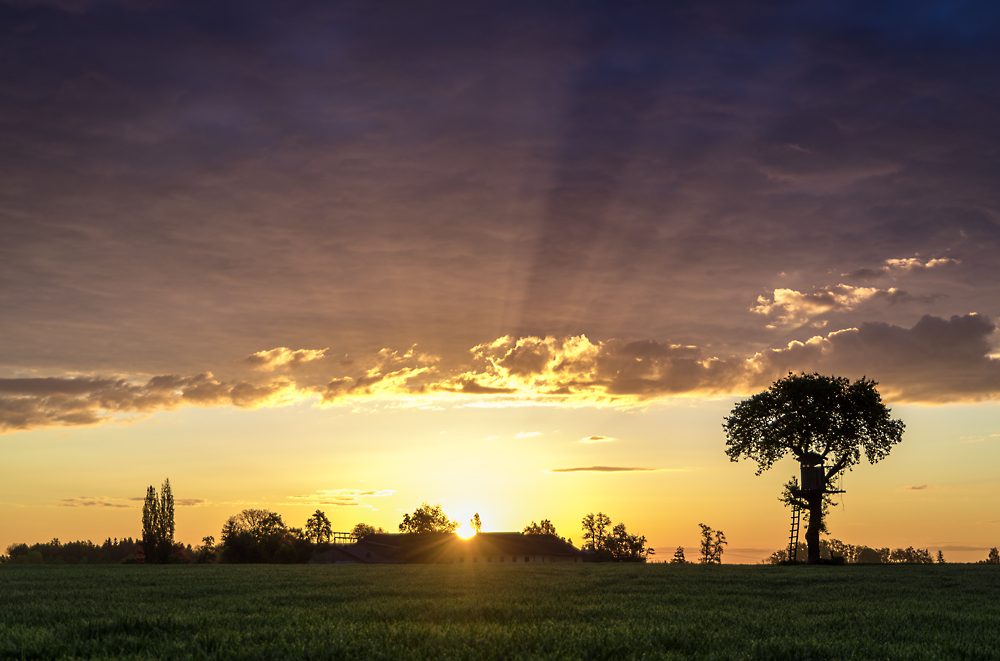 Sonnenaufgang