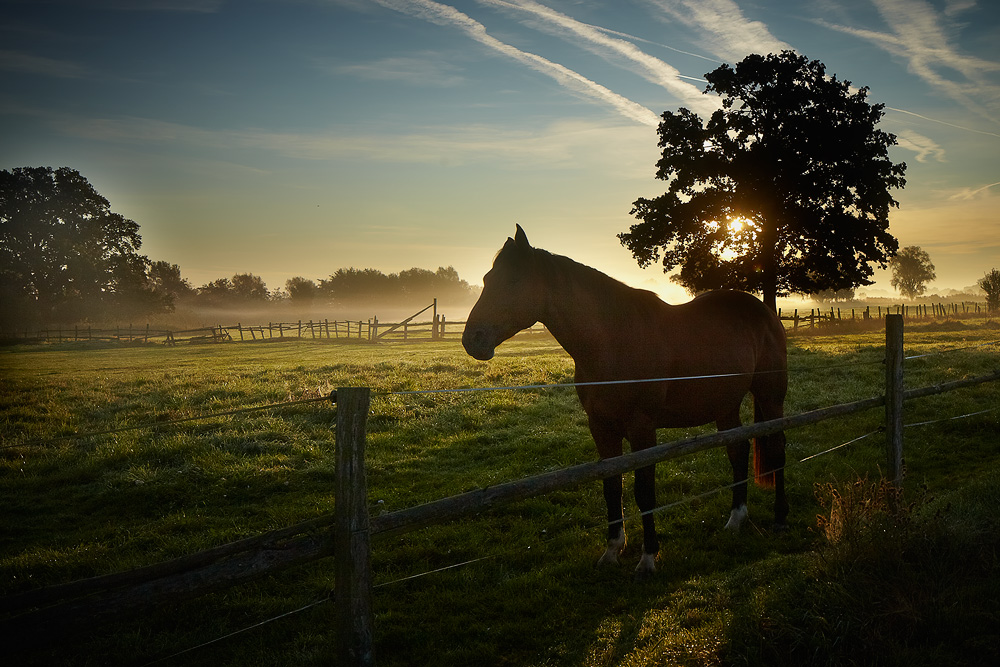 Sonnenaufgang