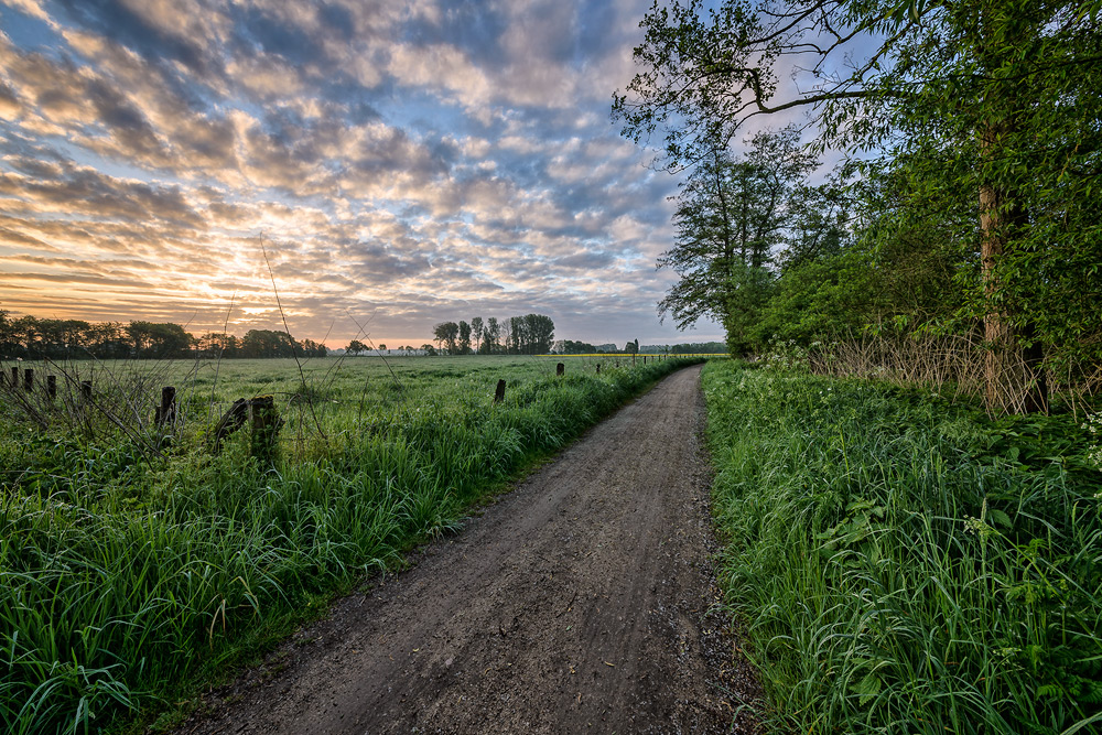 Sonnenaufgang (2)