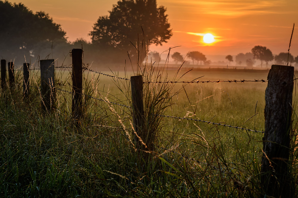 Sonnenaufgang (2)