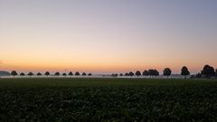 Sonnenaufgang 2