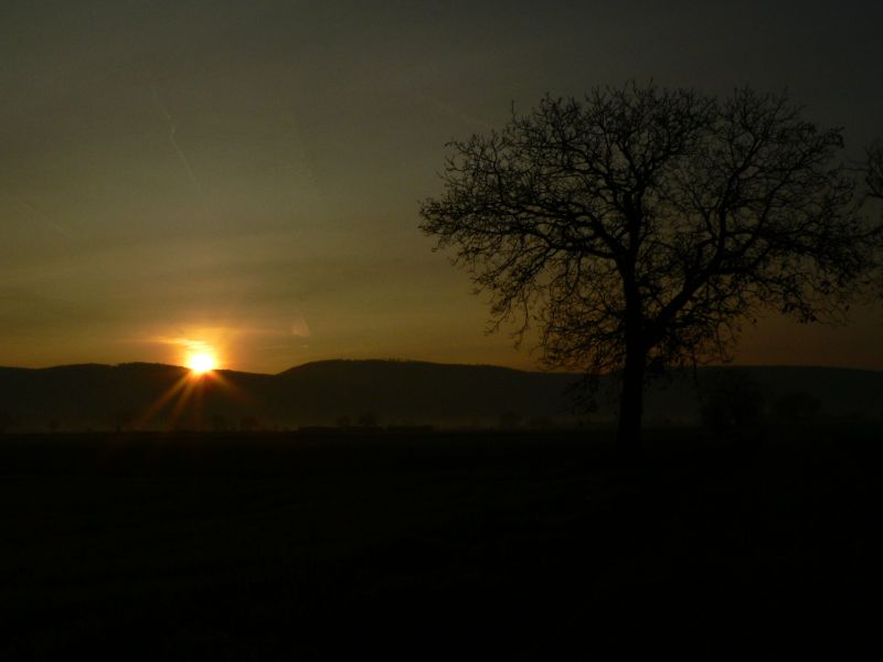 Sonnenaufgang #2