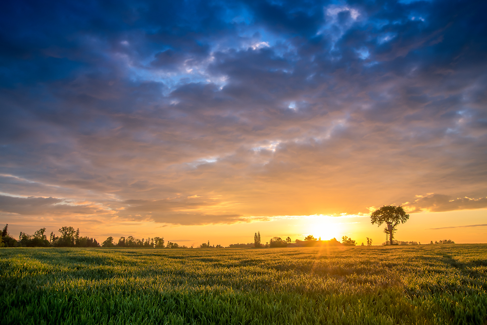 Sonnenaufgang 2