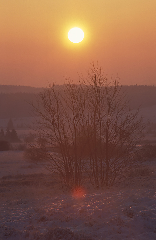 Sonnenaufgang (2)