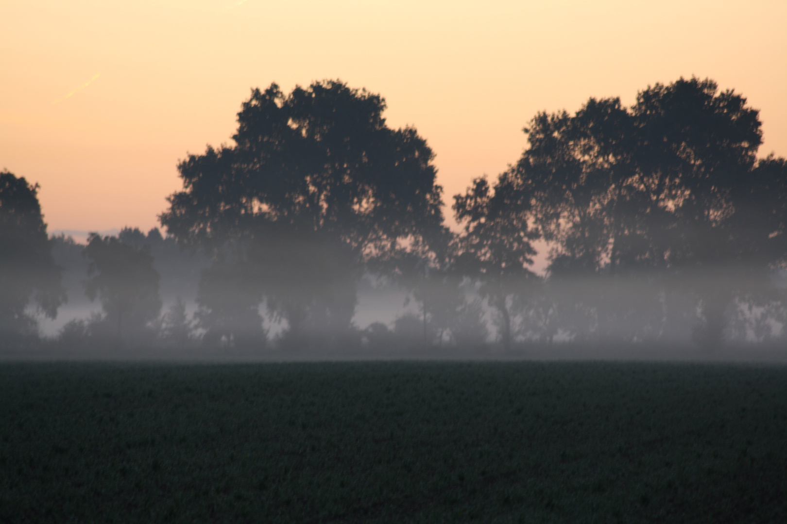 Sonnenaufgang 2