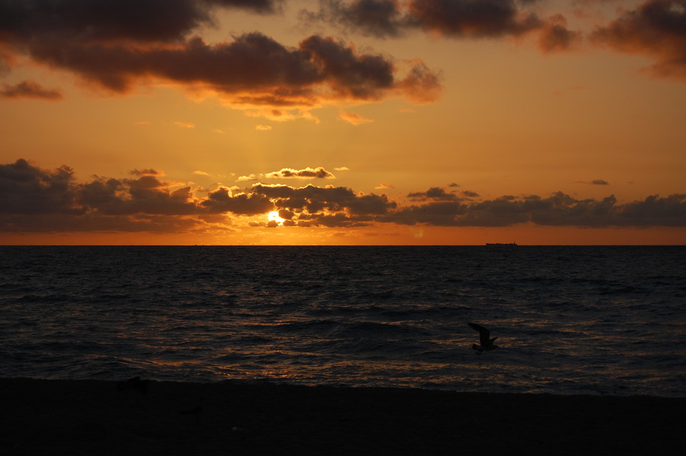 Sonnenaufgang 2 @ Miami Beach