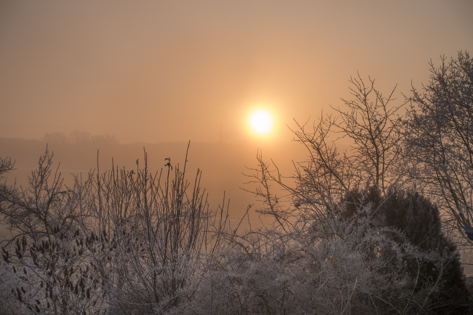  Sonnenaufgang 2.1.17