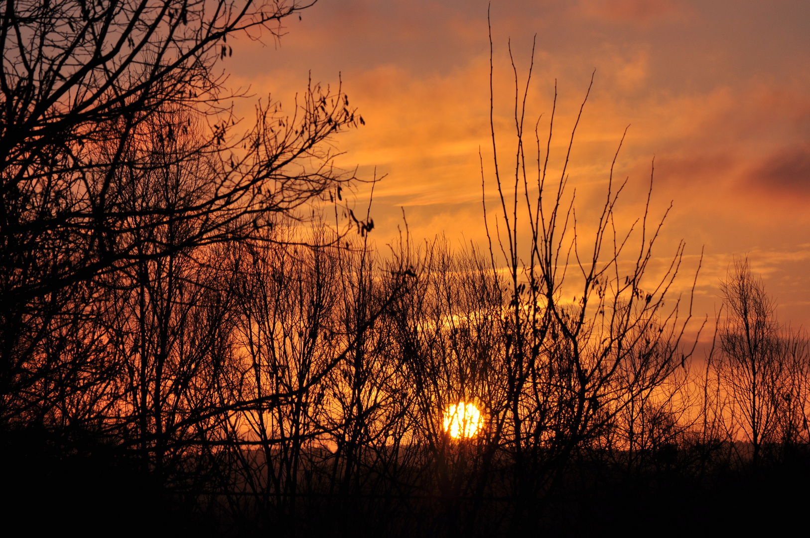 sonnenaufgang 2.1.2011 um 8.33uhr