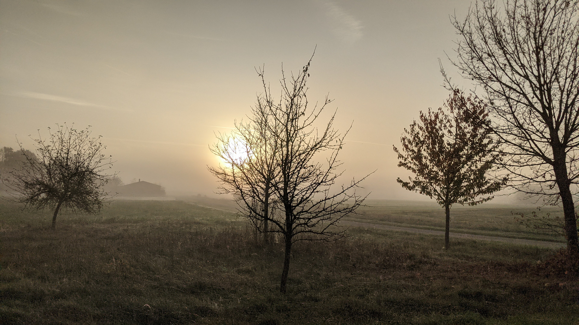 Sonnenaufgang 