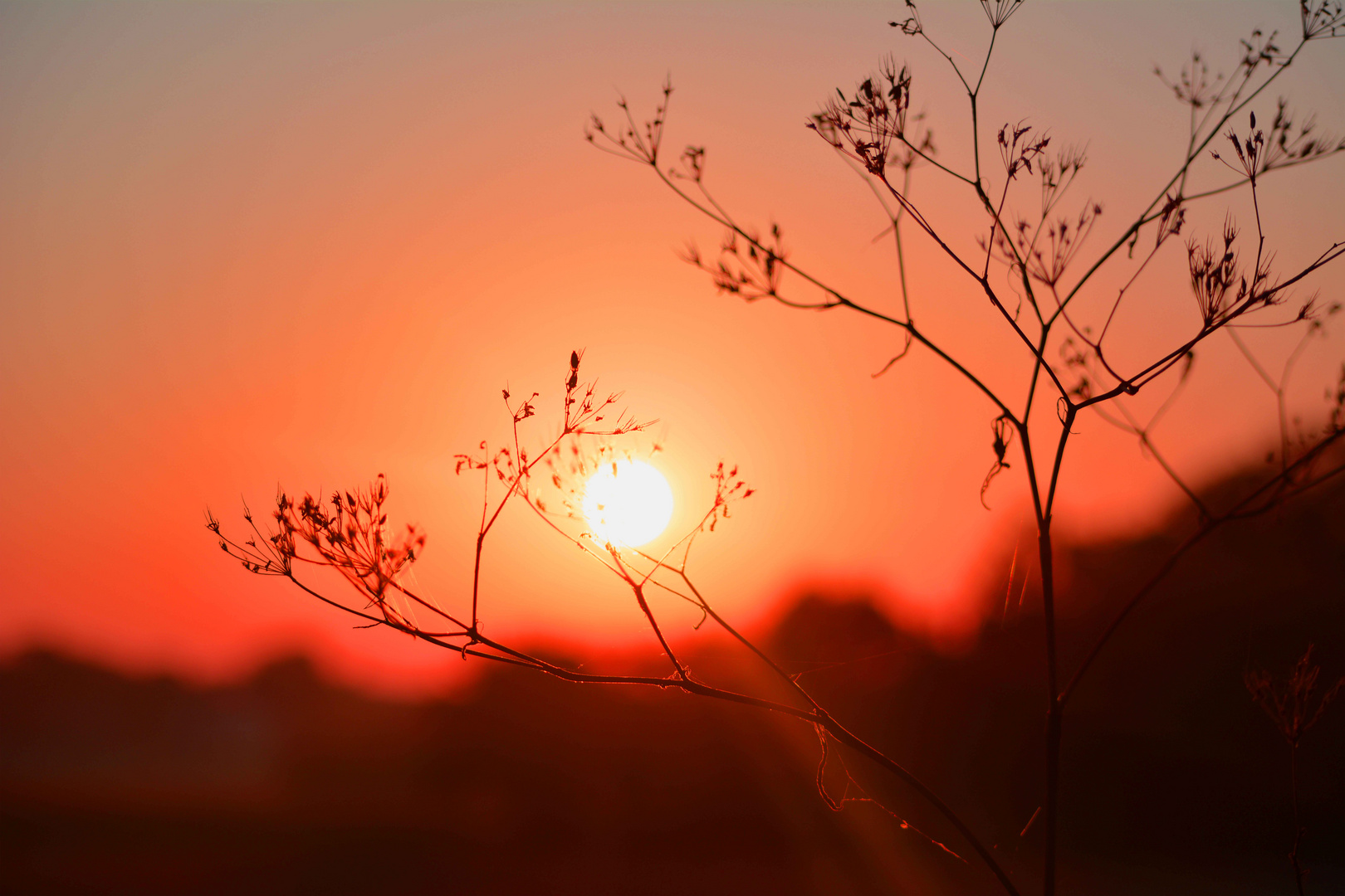 Sonnenaufgang