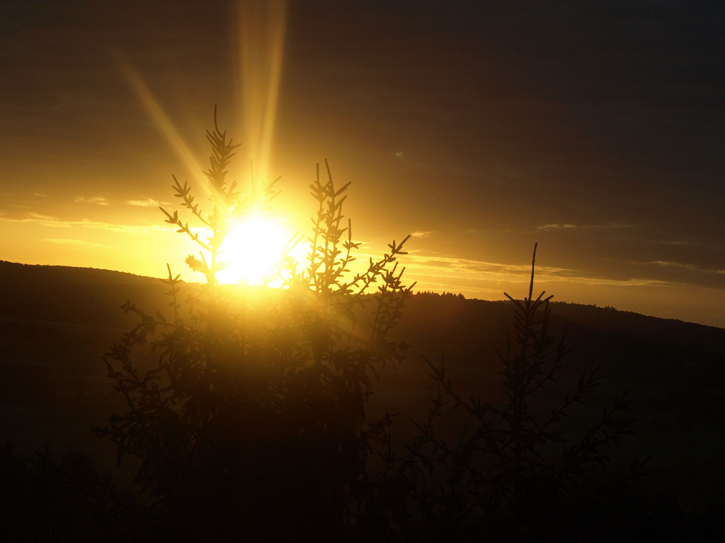 Sonnenaufgang 23.06