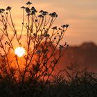 Sonnenaufgang 26.06.2010