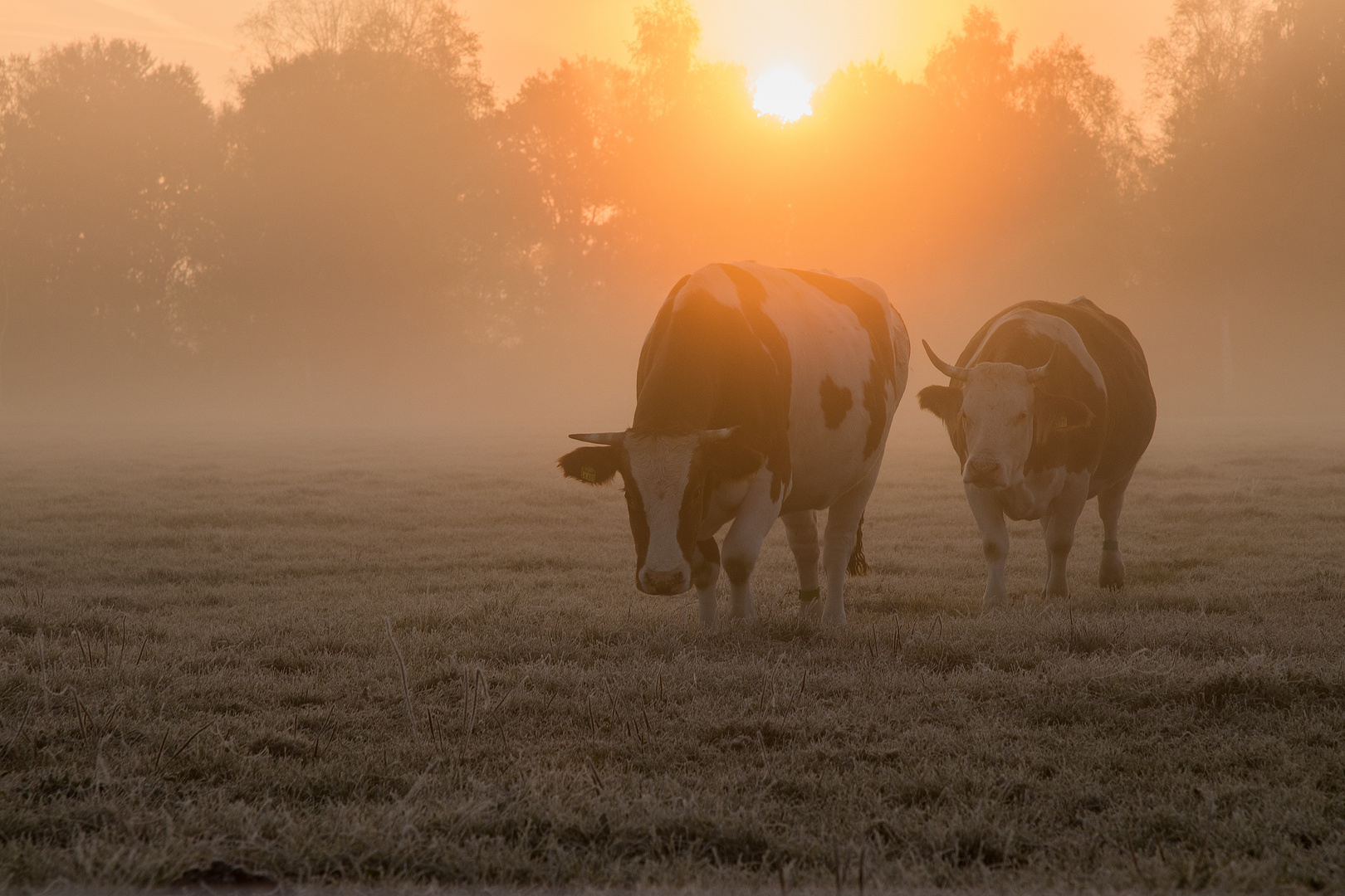 Sonnenaufgang