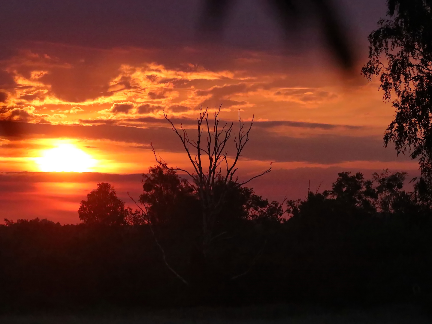 Sonnenaufgang 29.07.2023