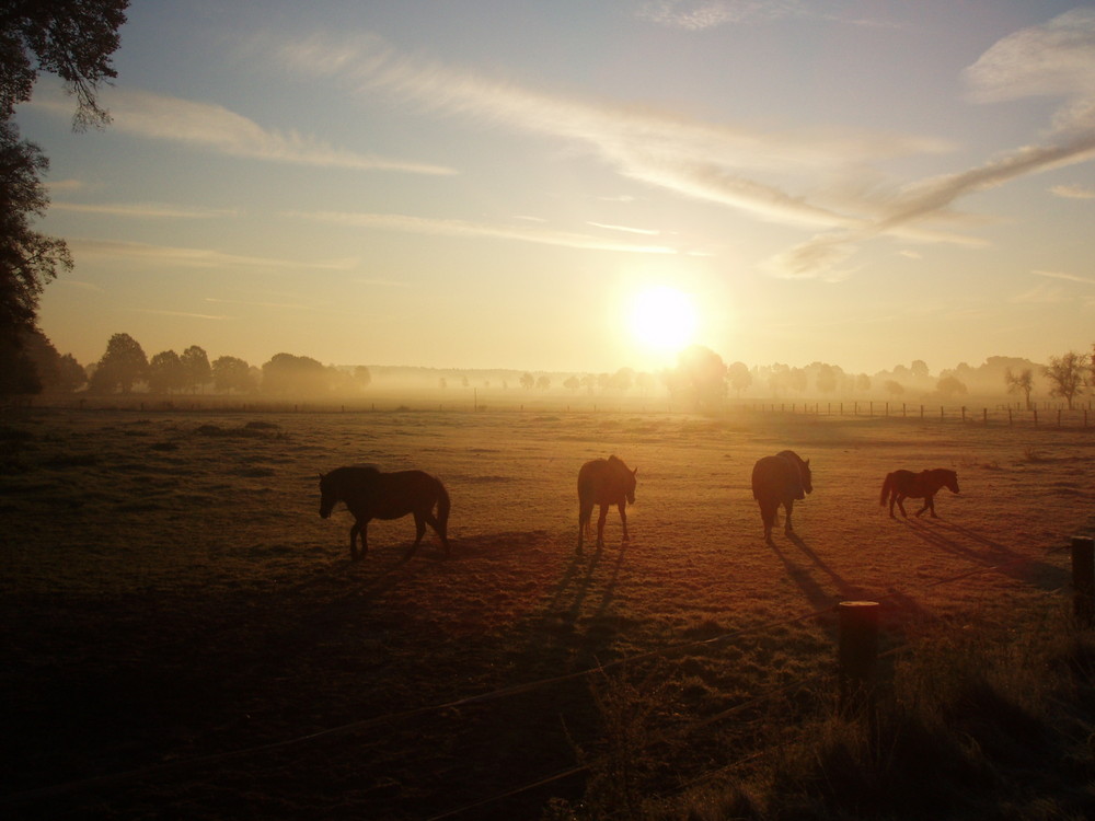 Sonnenaufgang