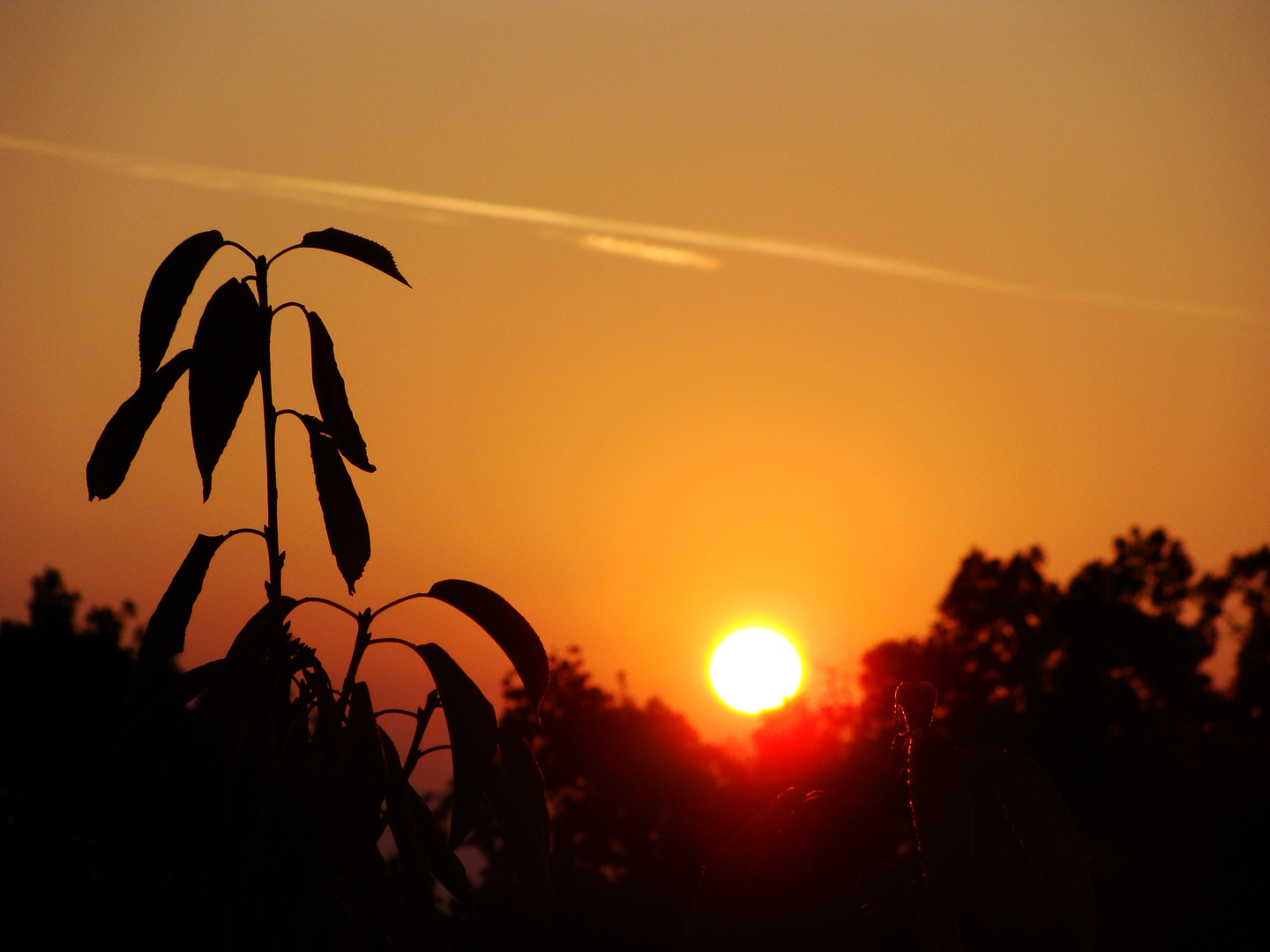 Sonnenaufgang