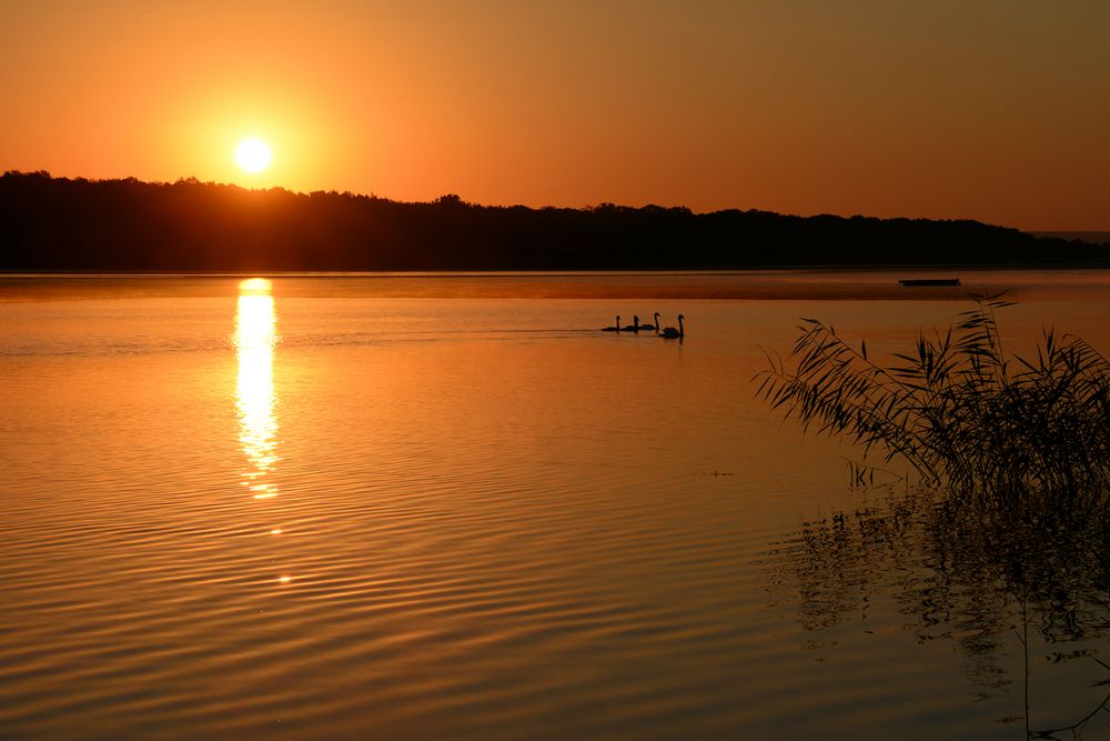 Sonnenaufgang