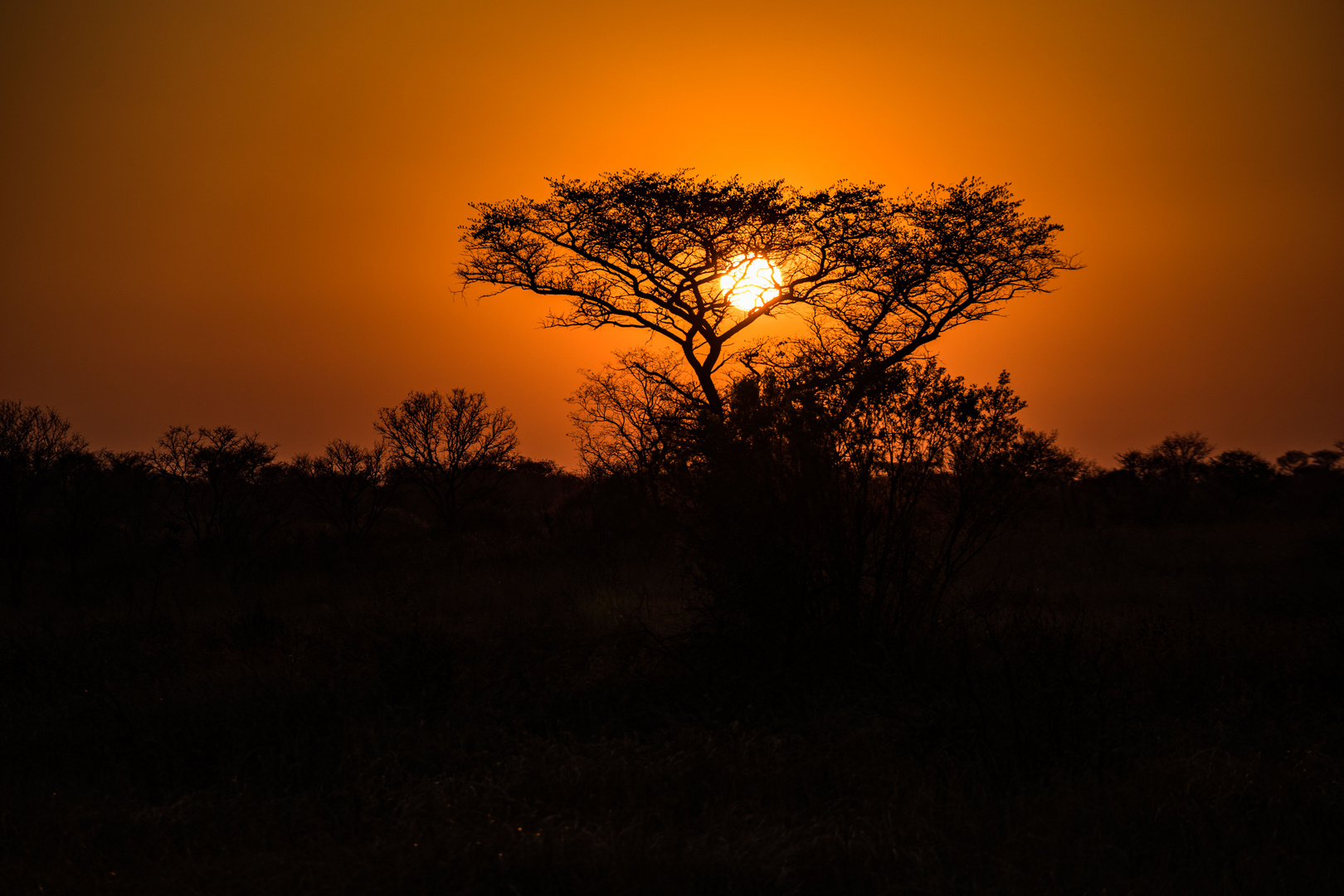 Sonnenaufgang 