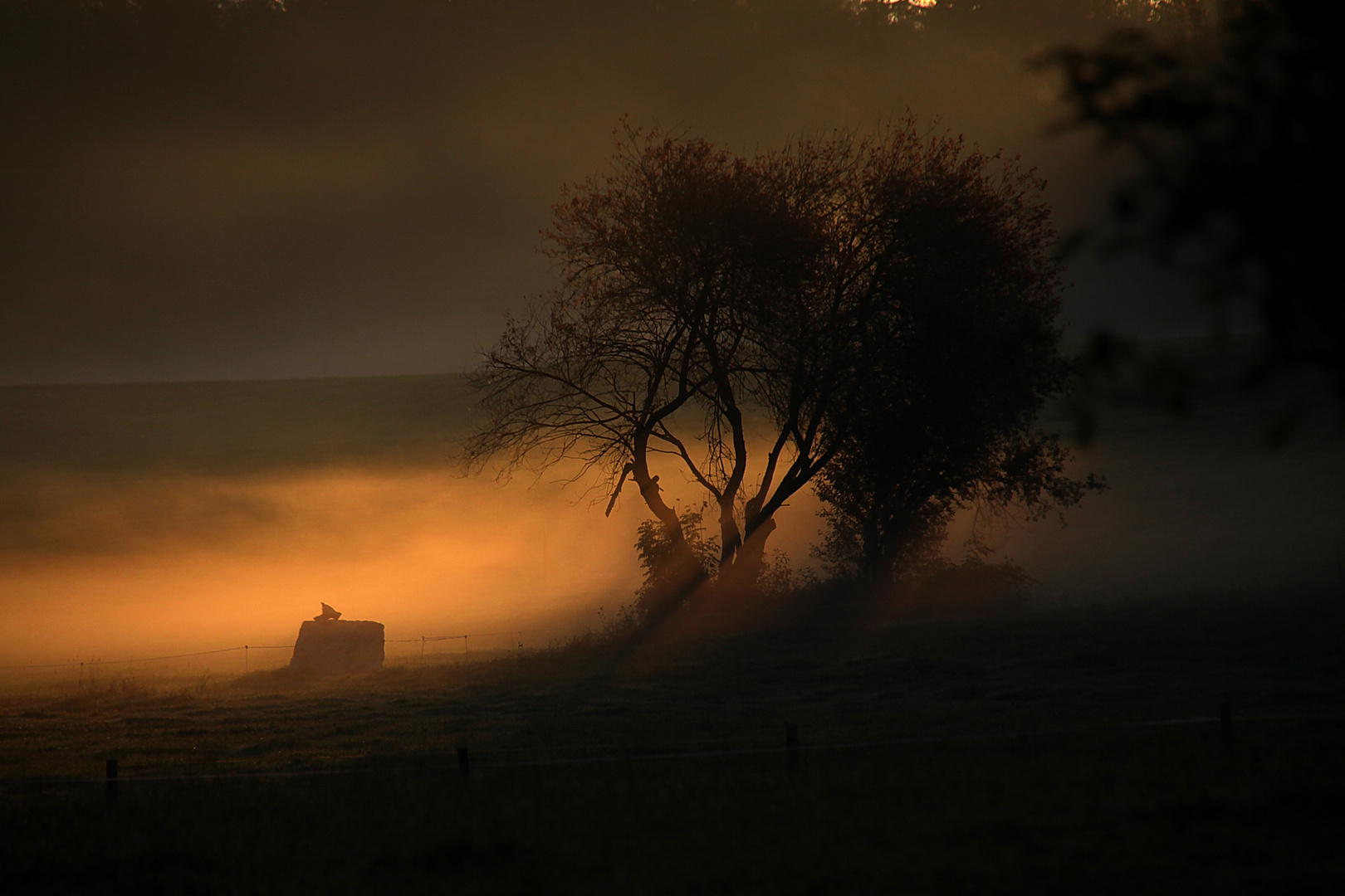 Sonnenaufgang